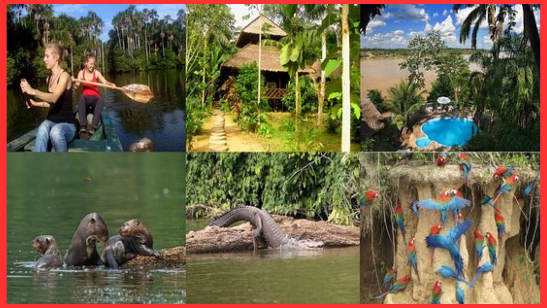 Reserva Nacional Tambopata Reserva Nacional Tambopata